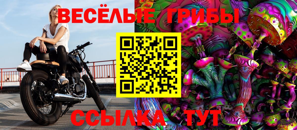 Псилоцибиновые грибы Psilocybine cubensis Славянск-на-Кубани
