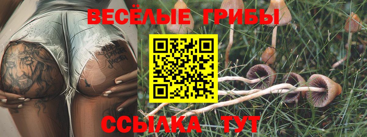 Псилоцибиновые грибы Magic Shrooms  Вход с VPN  Галлюциногенные грибы ЛСД  Славянск-на-Кубани 
